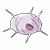 268 cascoon