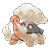 324 torkoal
