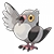 519 pidove