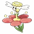 669 flabebe